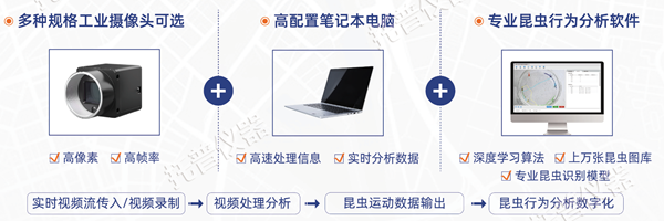 昆蟲行為分析系統